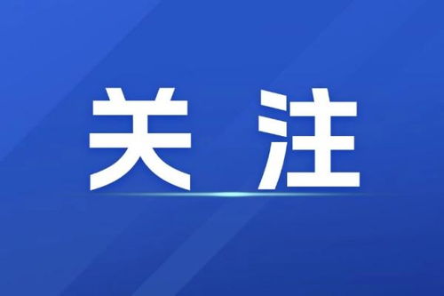 河南洛阳任命代理县长，地方治理与数字发展并进